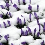 images-10